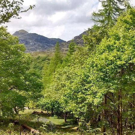 Villa Mountain Walks Straight From The Doorstep Blaenau Ffestiniog Exterior foto