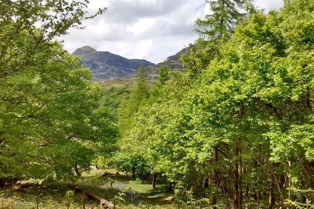 Villa Mountain Walks Straight From The Doorstep Blaenau Ffestiniog Exterior foto